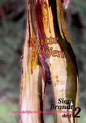 Natte Dijen, deel 2 cover image
