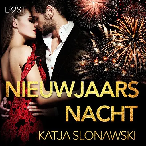 Cover image of Nieuwjaarsnacht - erotisch verhaal