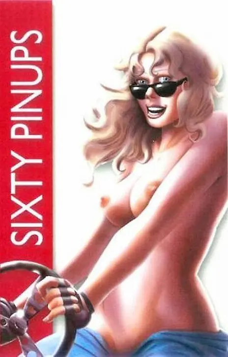 Cover image of Pinup Reeks 02 Sixty Pinups
