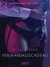 LUST - Verjaardagscadeau - erotisch verhaal cover image