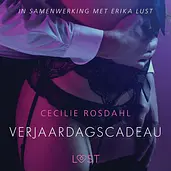 Verjaardagscadeau - erotisch verhaal cover image