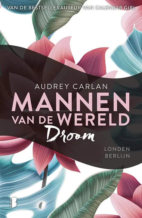 Cover image of Droom
