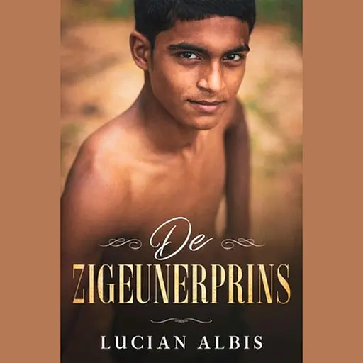 Cover image of De zigeunerprins