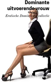 Dominante uitvoerende vrouw cover image
