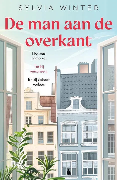 Cover image of De man aan de overkant