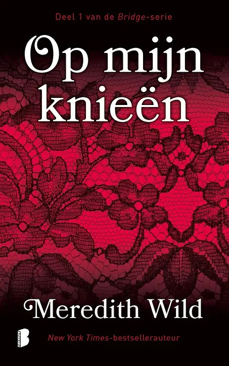 Cover image of Bridge 1 - Op mijn knieën