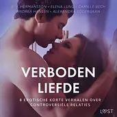 Verboden liefde - 8 Erotische korte verhalen over controversiële relaties cover image