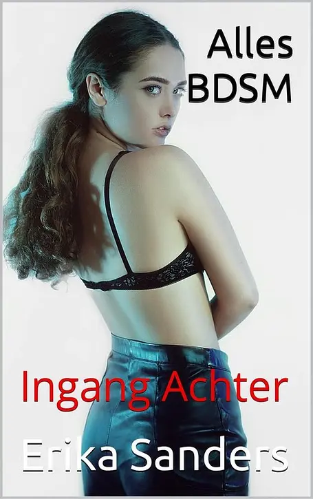 Cover image of Alles BDSM. Ingang Achter