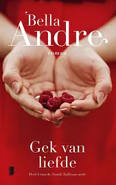 Seattle Sullivans 4 - Gek van liefde cover image