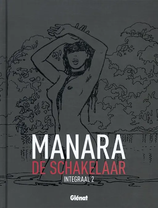 Cover image of De schakelaar Integraal 2