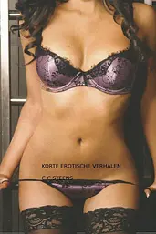 Korte Erotische Verhalen. cover image