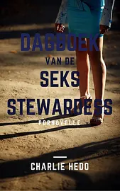 Overspel en bedrog van de seksstewardess - Dagboek van de Seksstewardess cover image