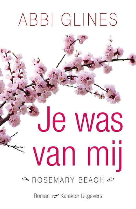 Cover image of Rosemary Beach - Je was van mij