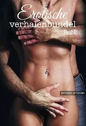 Erotische verhalenbundel 2 - Erotische verhalenbundel -2 cover image