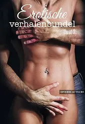 Erotische verhalenbundel 2 - Erotische verhalenbundel cover image