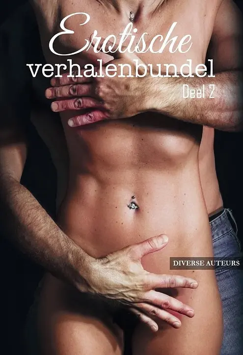 Cover image of Erotische verhalenbundel 2 - Erotische verhalenbundel