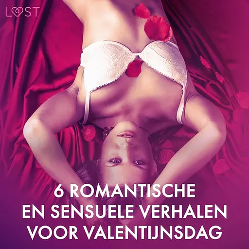 Cover image of 6 romantische en sensuele verhalen voor Valentijnsdag