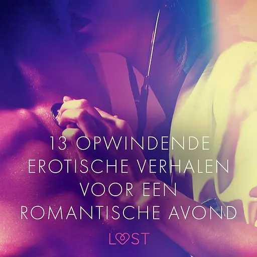 Cover image of 13 opwindende erotische verhalen voor een romantische avond