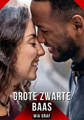 Grote zwarte baas cover image