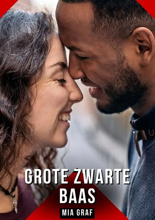 Cover image of Grote zwarte baas