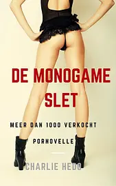 Erotische verhalen voor vrouwen - De Monogame Slet cover image