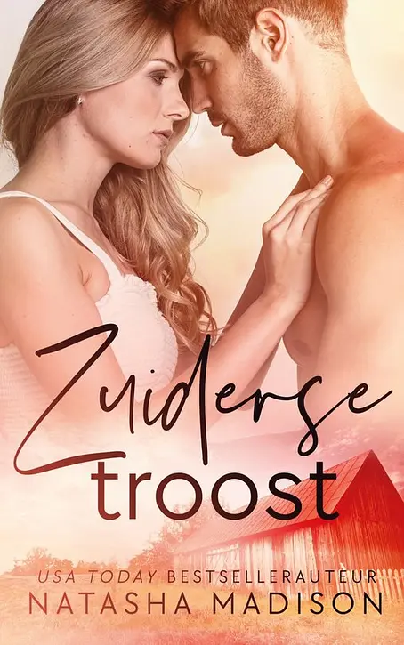 Cover image of Zuiderse 2 - Zuiderse troost
