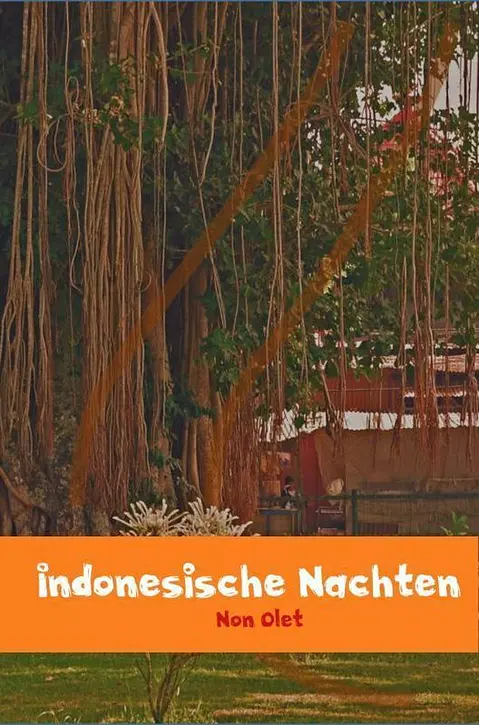Cover image of Indonesische nachten
