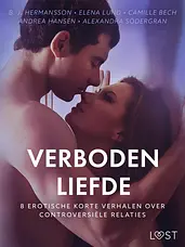Verboden liefde - 8 Erotische korte verhalen over controversiële relaties cover image