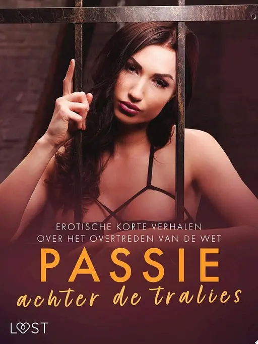 Cover image of Passie achter de tralies: Erotische korte verhalen over het overtreden van de wet