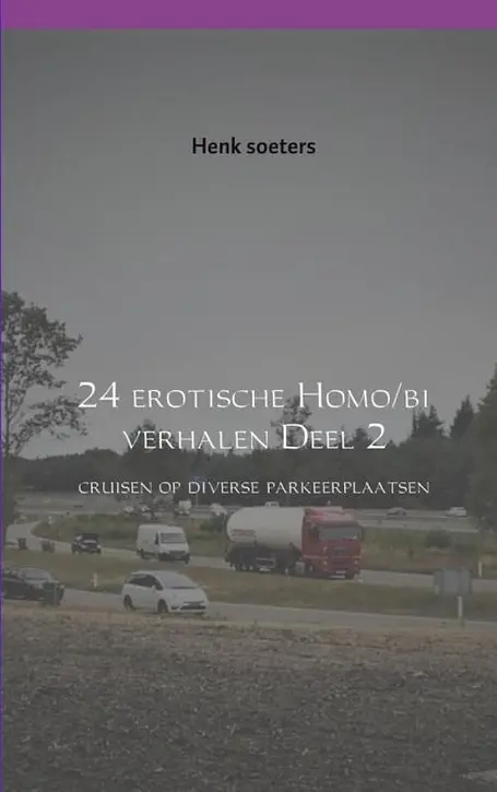 Cover image of 24 erotische Homo/bi verhalen Deel 2