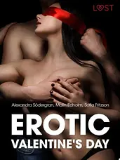 Erotic Valentine s Day - 5 erotische verhalen cover image
