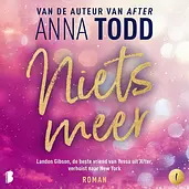 Niets meer cover image