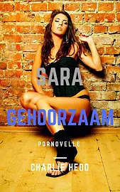 BDSM boeken, spanking en bondage - Gehoorzaam cover image