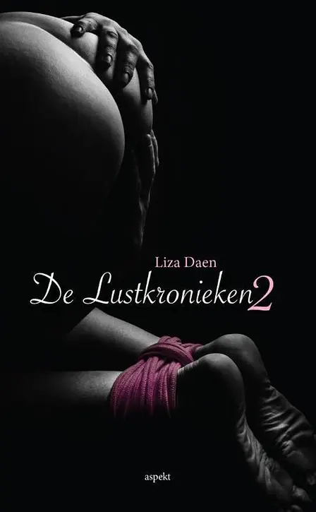 Cover image of De Lustkronieken 2