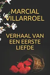 Verhaal Van Een Eerste Liefde cover image