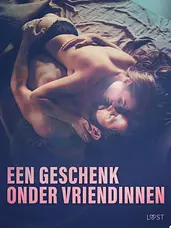 Een geschenk onder vriendinnen: 10 erotische korte verhalen voor een sexy avond cover image
