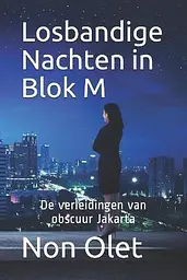 Losbandige nachten in Blok M cover image