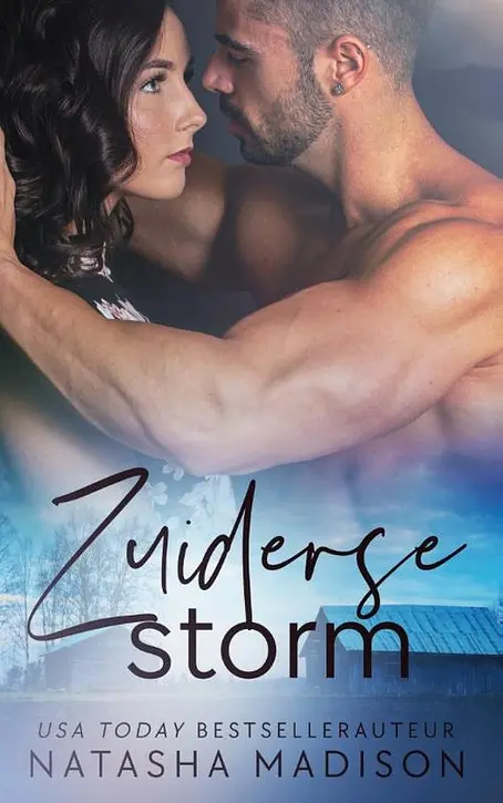 Cover image of Zuiderse 3 - Zuiderse storm