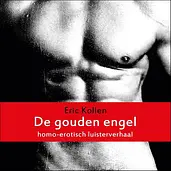 De gouden engel cover image