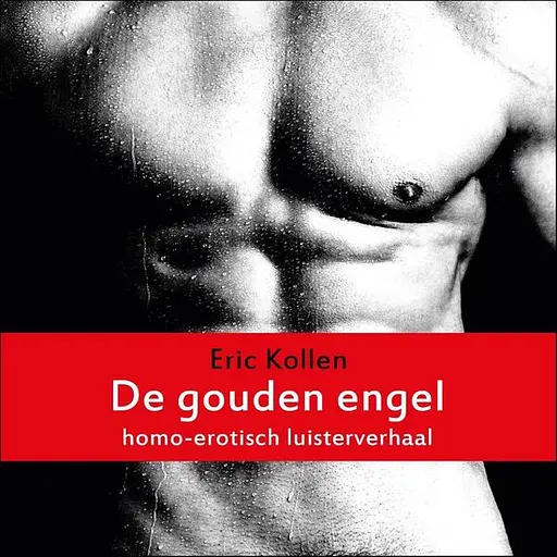 Cover image of De gouden engel