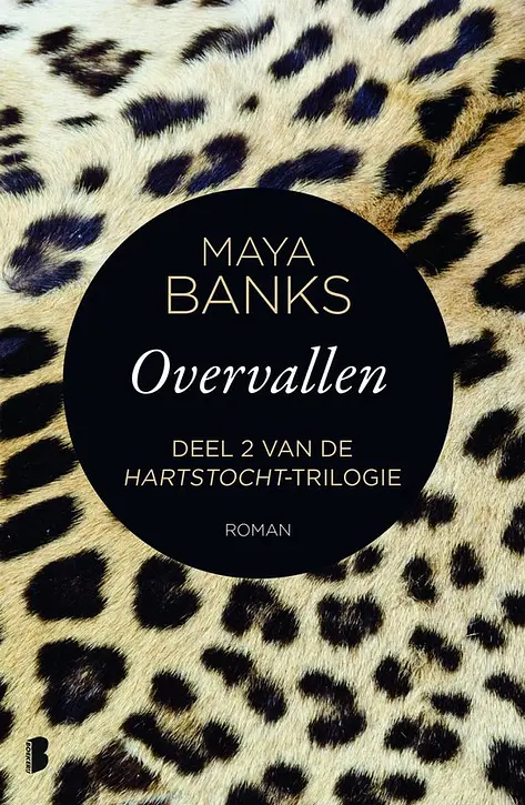 Cover image of Hartstocht 2 - Overvallen