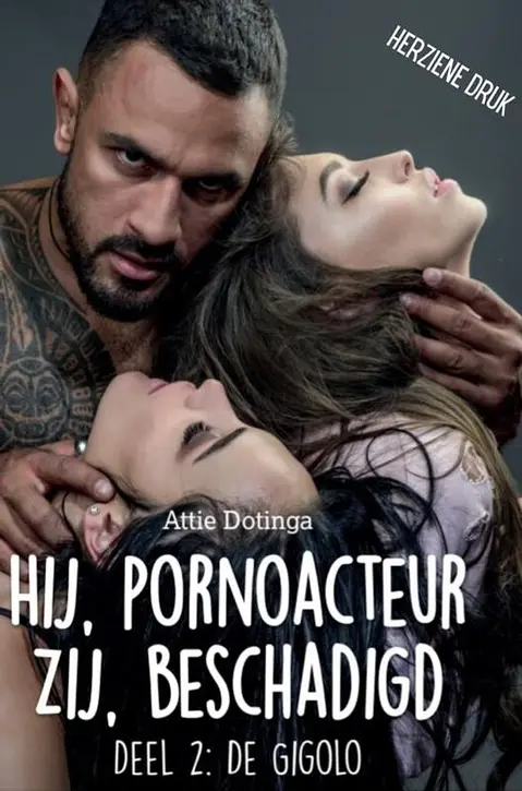 Cover image of Hij pornoacteur. Zij beschadigd.