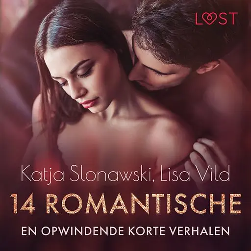 Cover image of 14 romantische en opwindende korte verhalen - een erotische verzameling