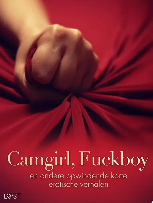 Cover image of Camgirl, Fuckboy en andere opwindende korte erotische verhalen
