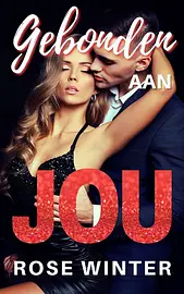 Gebonden aan jou cover image