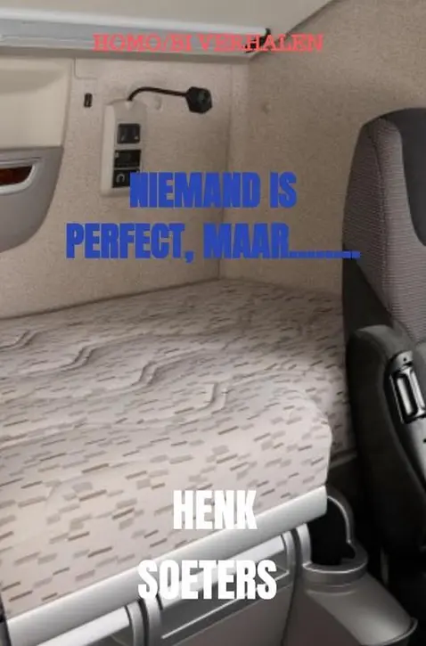 Cover image of NIEMAND IS PERFECT, MAAR........