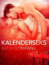LUST - Kalenderseks - erotische verhaal cover image
