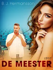 De meester - Een erotisch verhaal cover image