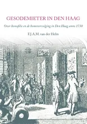 Gesodemieter in Den Haag cover image