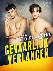 Gevaarlijk verlangen 1 - Gevaarlijk verlangen - erotisch verhaal cover image